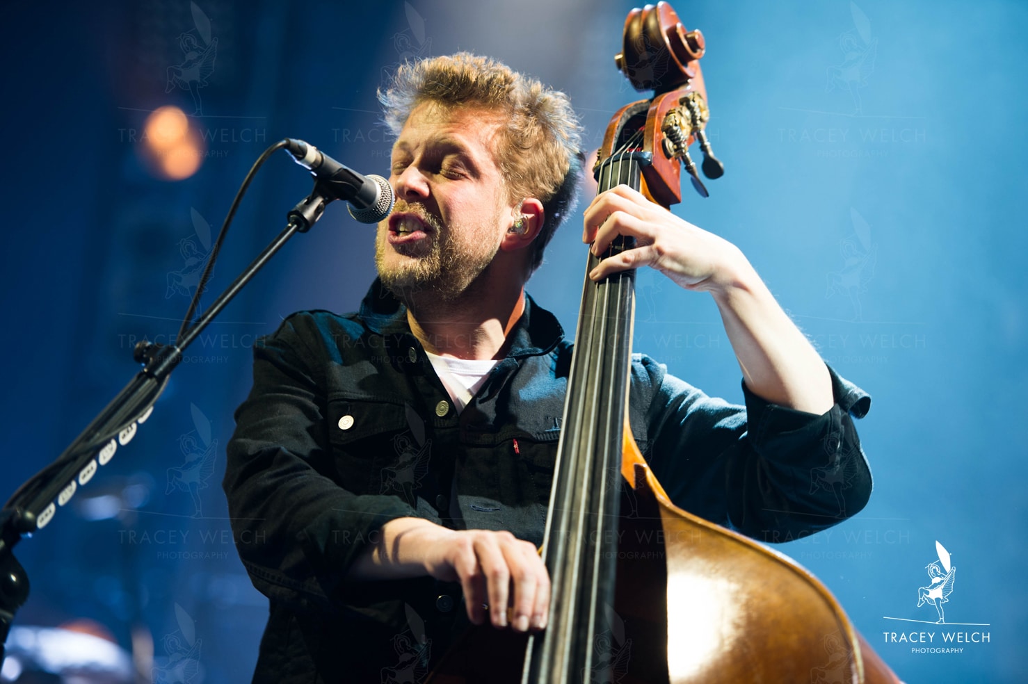 Mumford and Sons bass player Ted Dwane live at the First Direct Arena Leeds